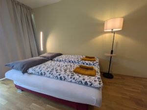 Schlafzimmer2-Schlafcouch-Penthouse-Bergblick-Salzkammergut-Bad-Ischl