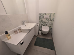 Toilette-WC-Penthouse-Bergblick-Salzkammergut-Bad-Ischl