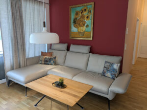 Wohnzimmer-Couch-Penthouse-Bergblick-Salzkammergut-Bad-Ischl